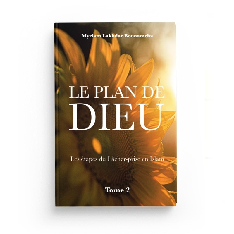 Couverture — Le Plan de Dieu T.2